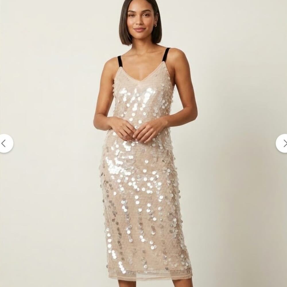 NWT Zara Evening Wear Nude Sequin Dress Size Small